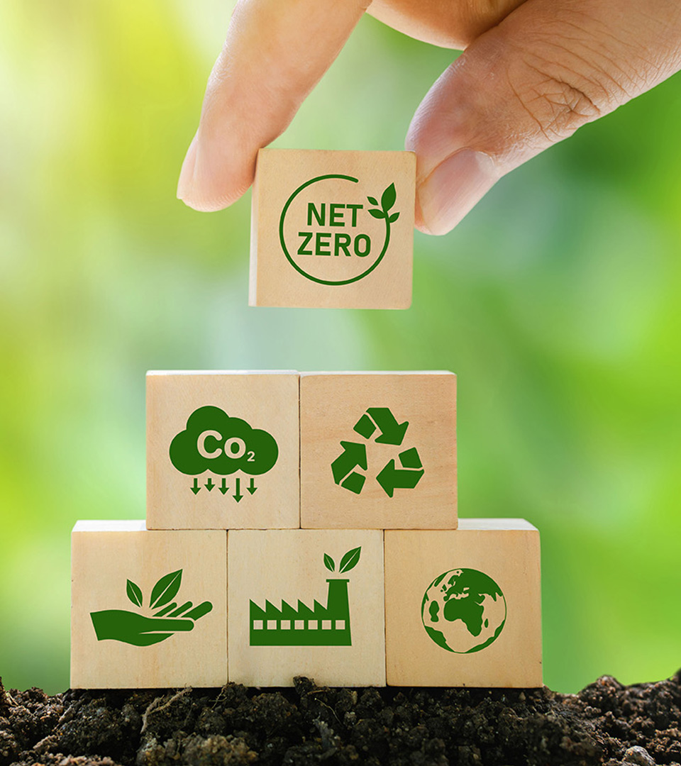 ConvergEN+: Energía y Naturaleza Positiva