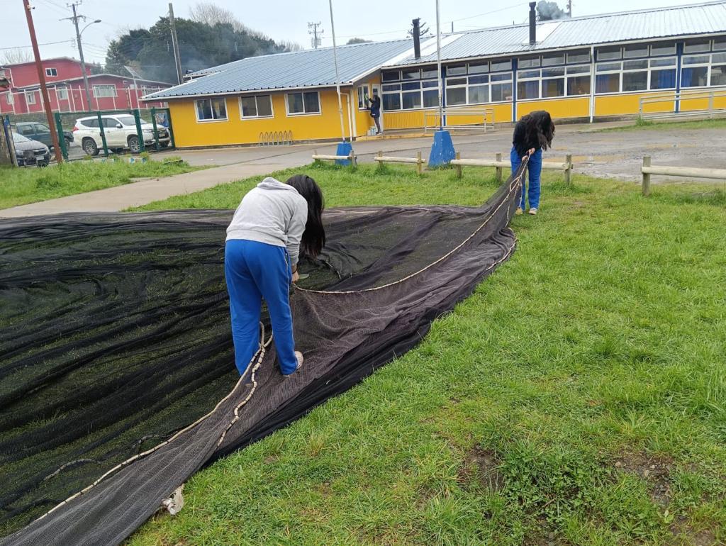 Estudiantes del Liceo Politécnico Pesquero de Mehuín proyectan la comercialización de choros zapato