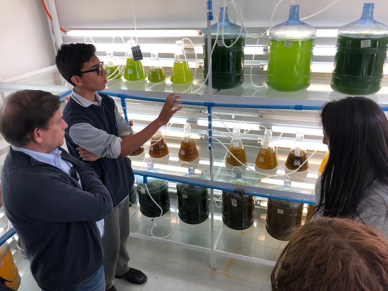 Social innovation project in Tongoy wins Inclusive Innovation award at Best Microalgae Awards 2020