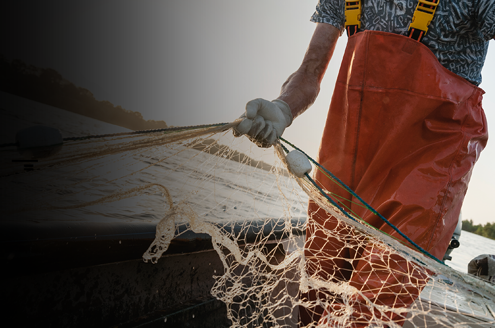 Todos ganan con una pesca artesanal sostenible