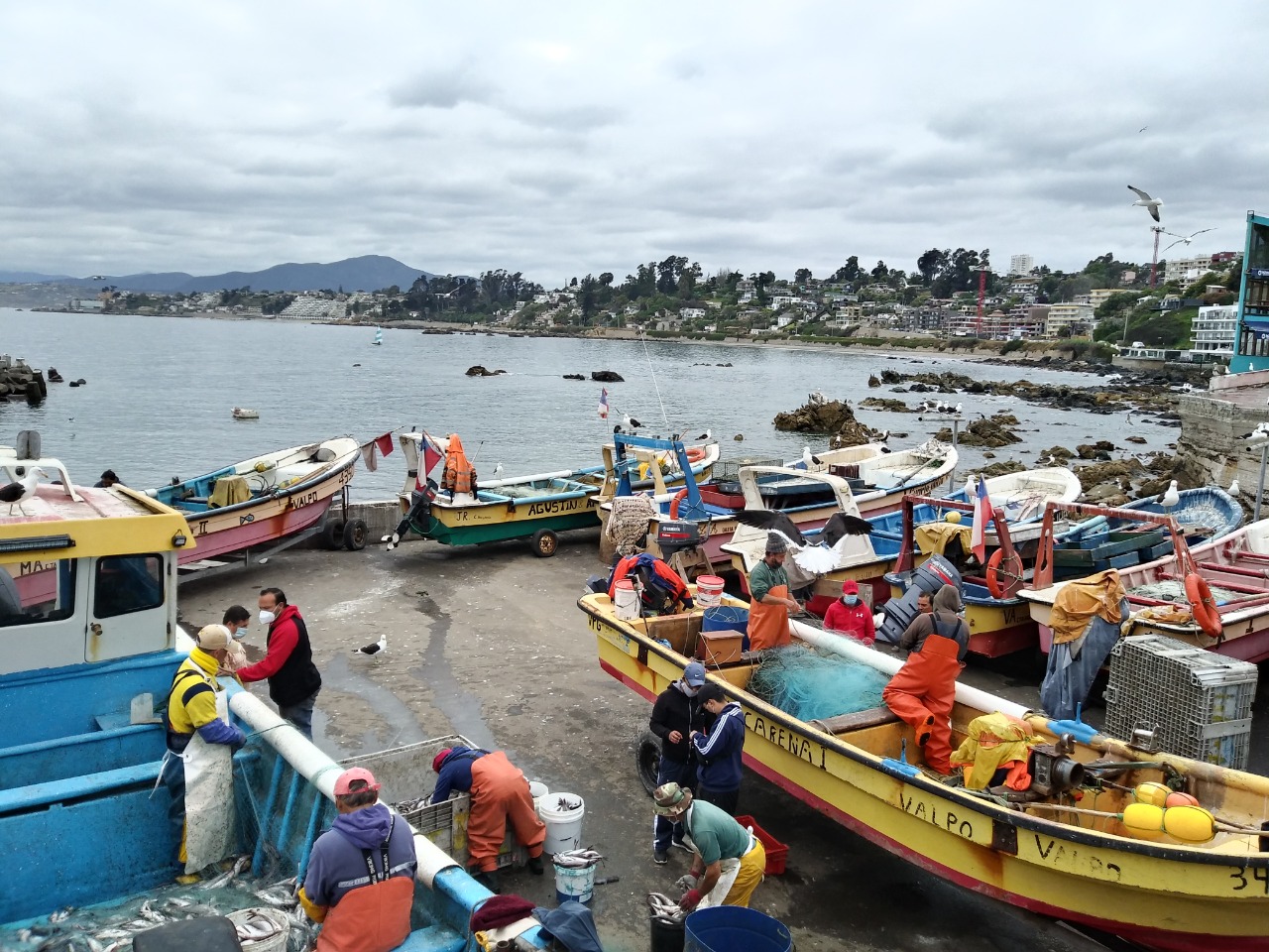 Subpesca, IFOP y Fundación Chile elaboran plan de acción para disminuir pérdidas y desperdicios pesqueros en caletas