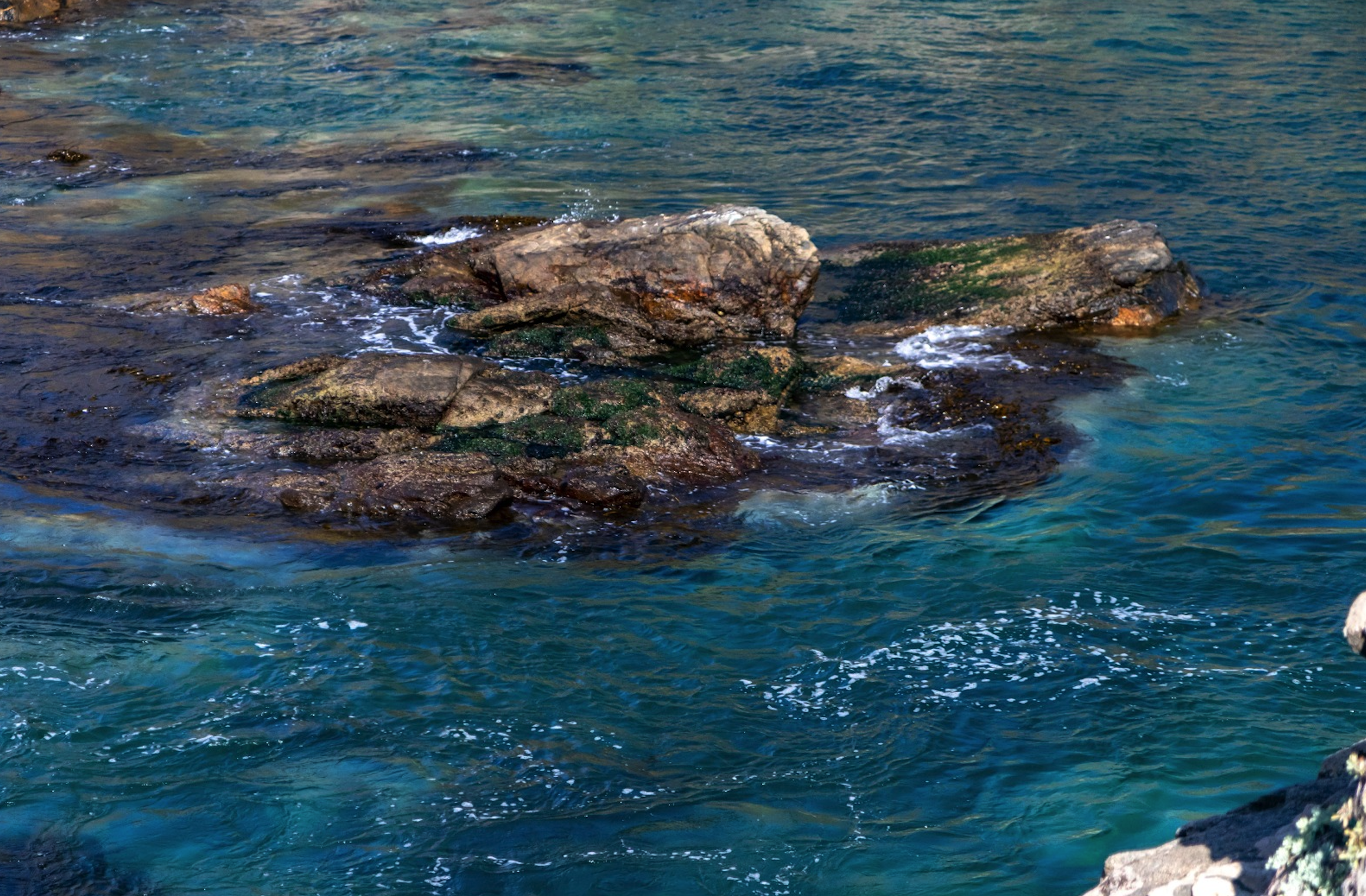 BHP Foundation impulsa una nueva red para el desarrollo y bienestar de las caletas de pescadores 