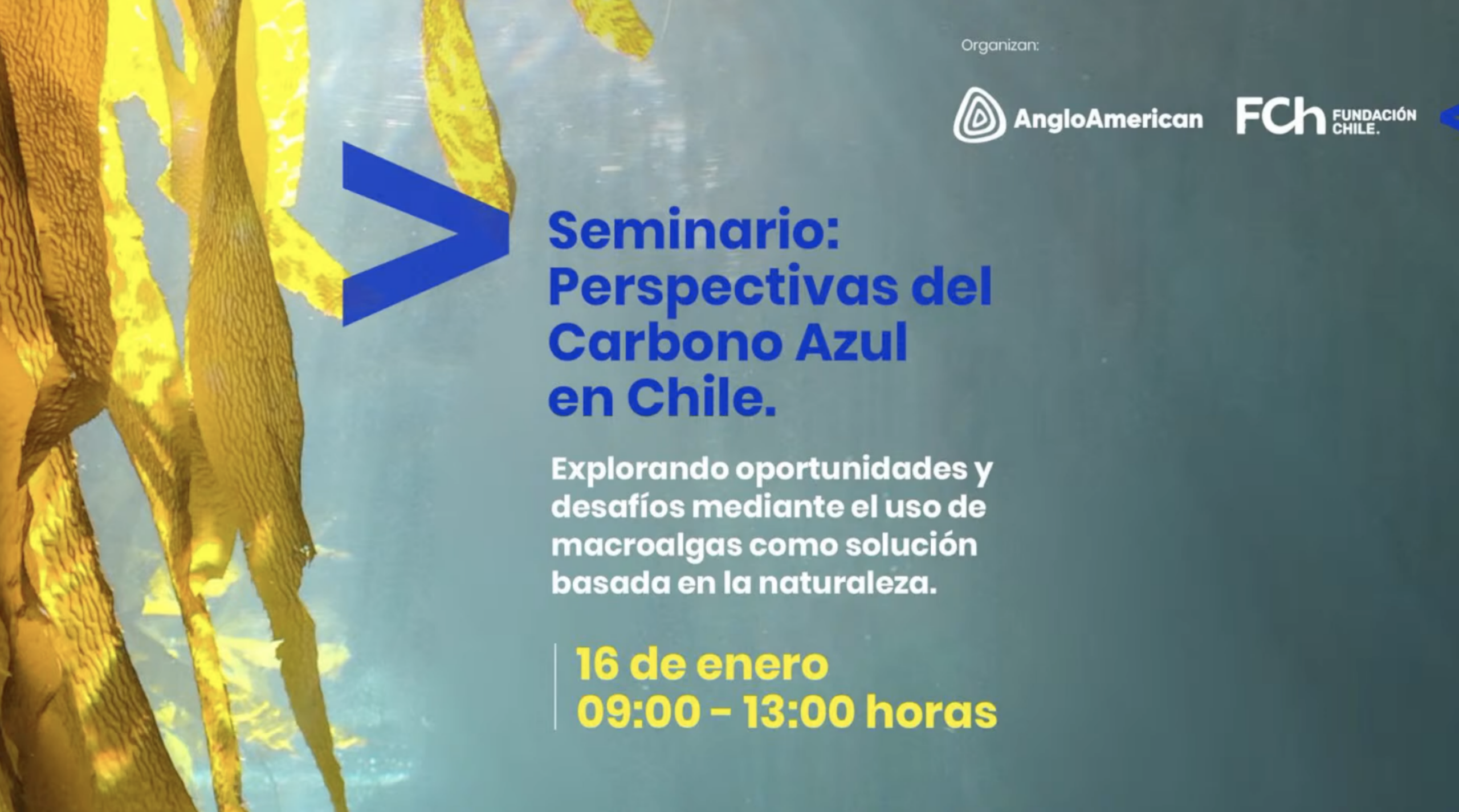 Seminario: Perspectivas del Carbono Azul en Chile