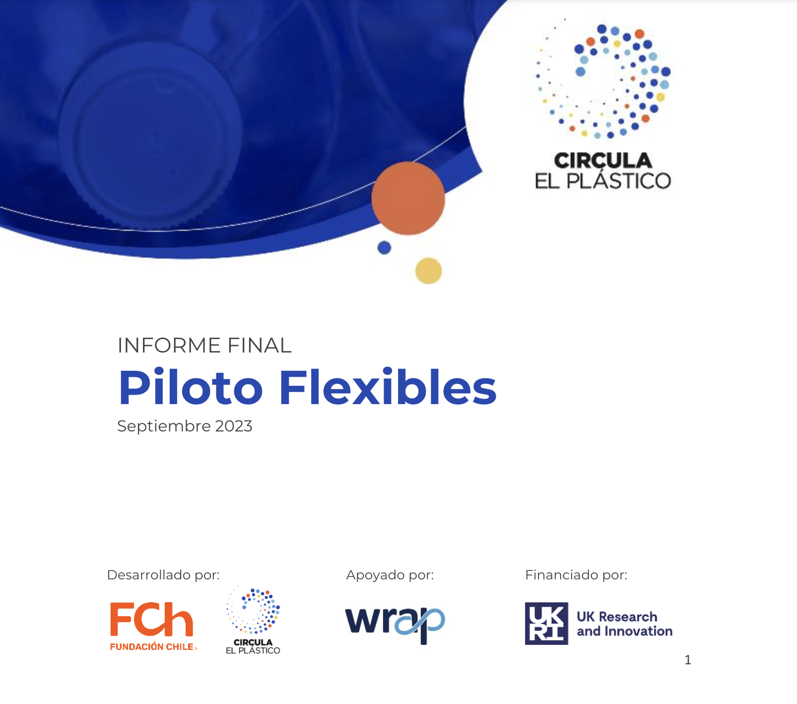 Informe final Piloto Flexibles