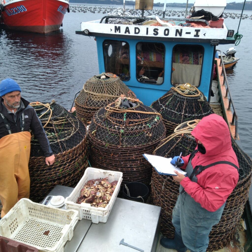 Nuevos horizontes para el pescador artesanal