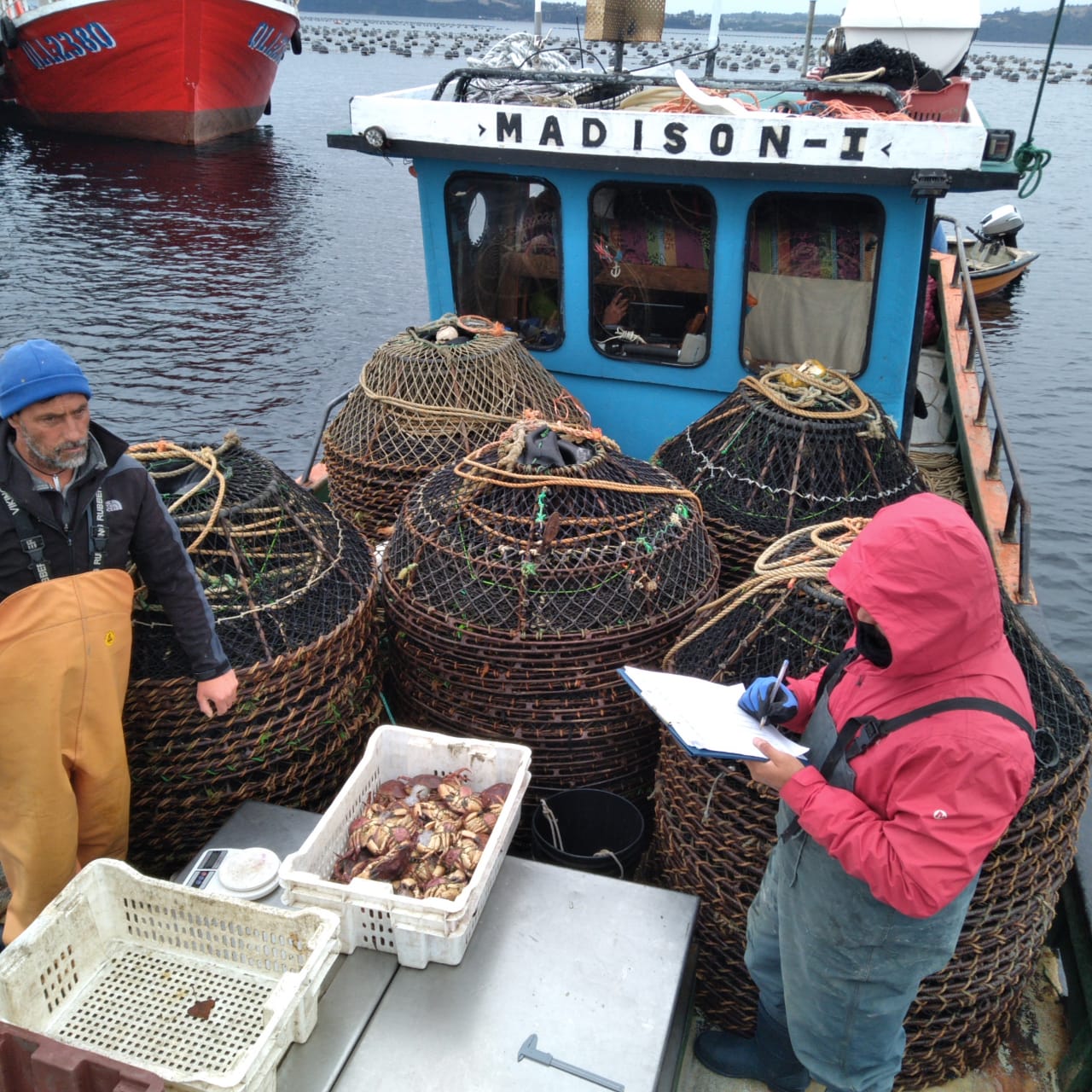 Nuevos horizontes para el pescador artesanal