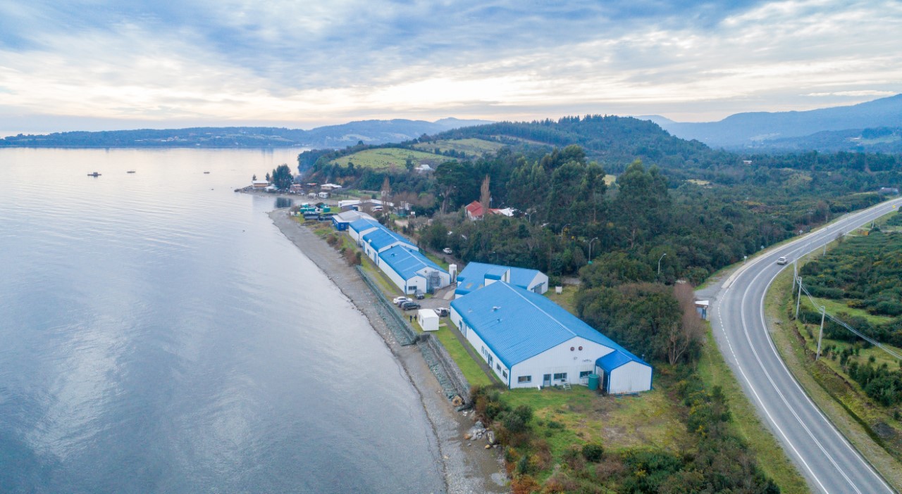 Salmofood (Vitapro Chile) adquiere Centro Experimental Quillaipe de Fundación Chile