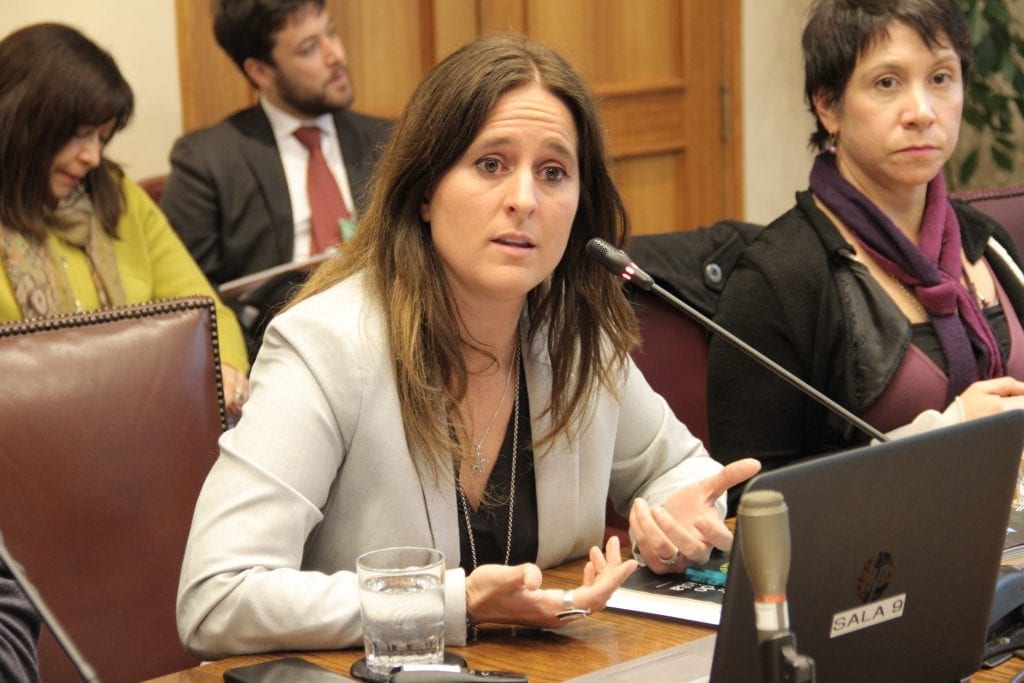 “Un 76% de la superficie chilena está afectada por sequía y suelo degradado”