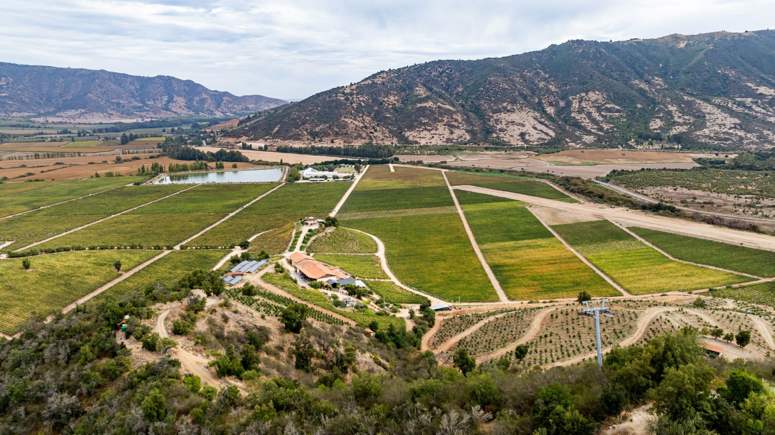 Viñas de Colchagua buscan liderar uso sustentable del agua en la industria vitivinícola