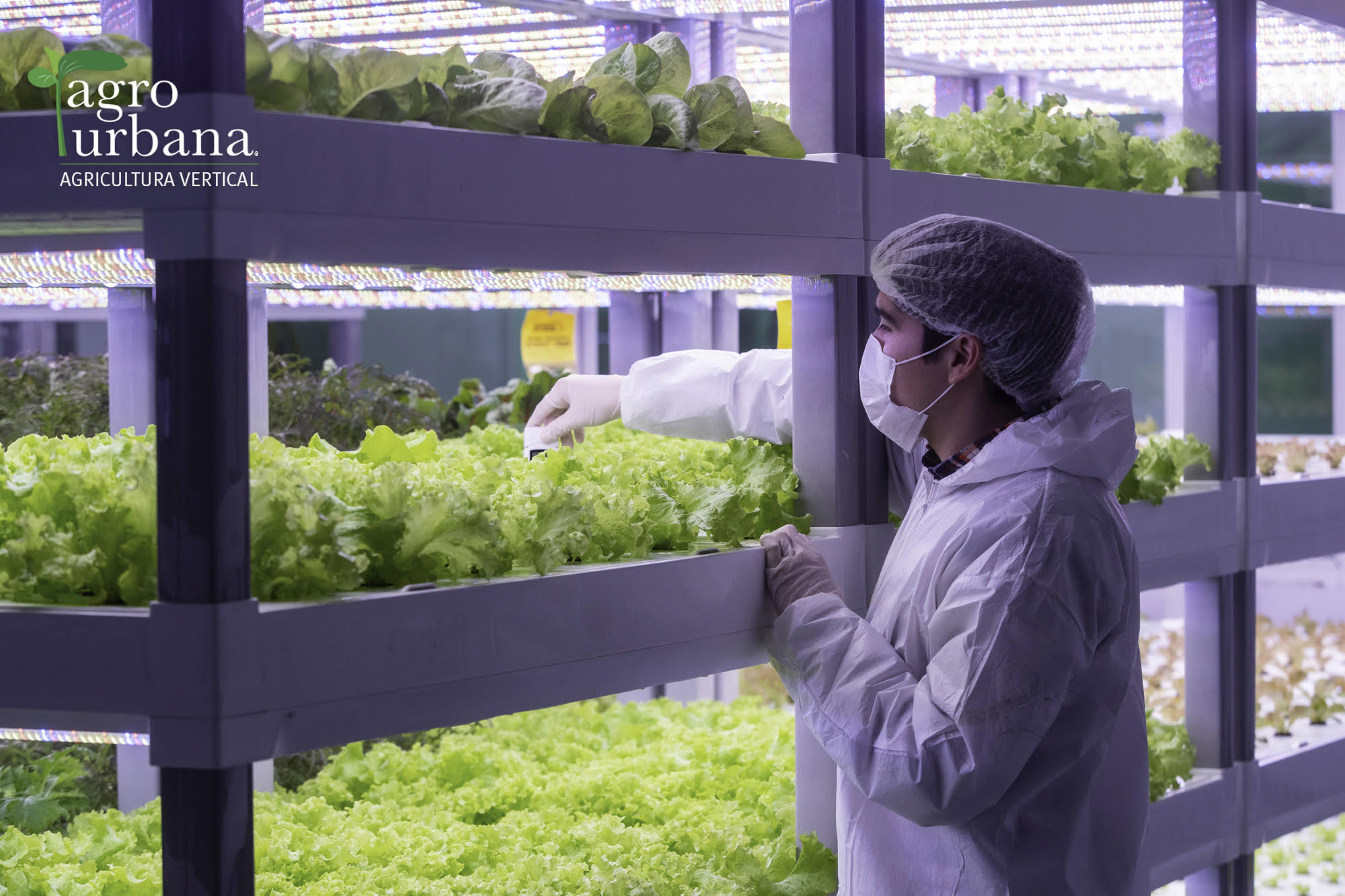 AgroUrbana: pionera en agricultura vertical fortalece su presencia con nuevos canales de distribución