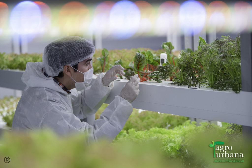 Conoce más de Agrourbana, empresa que hace frente a los desafíos del cambio climático y la escasez hídrica