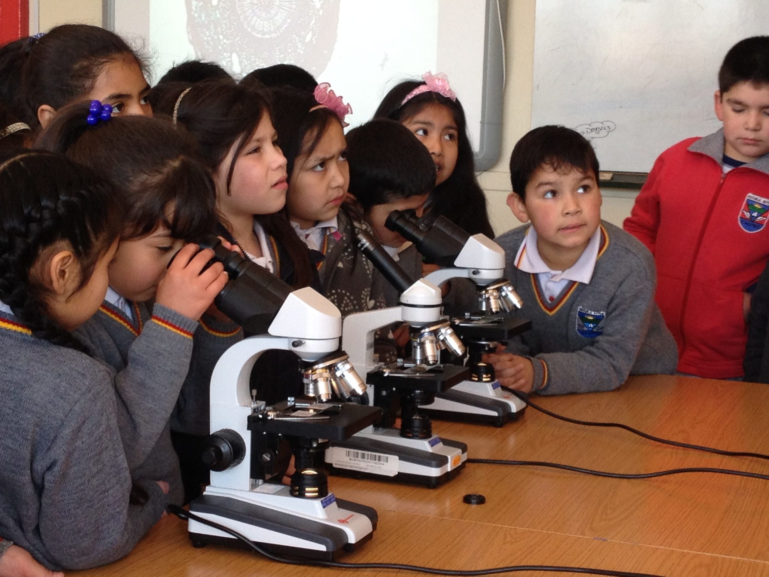 Escuela de Castro completó un exitoso ciclo de mejora con Fundación Chile