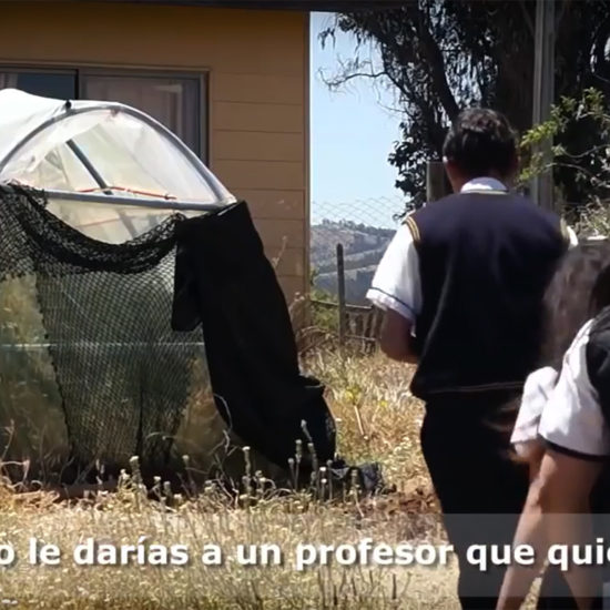 Aprendizaje Basado en Proyectos: testimonio de quienes aprendieron