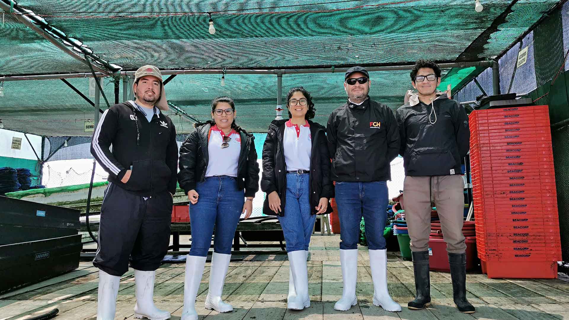 AquaPacífico entrega asesoría de cultivo inicial de seriola a empresa peruana