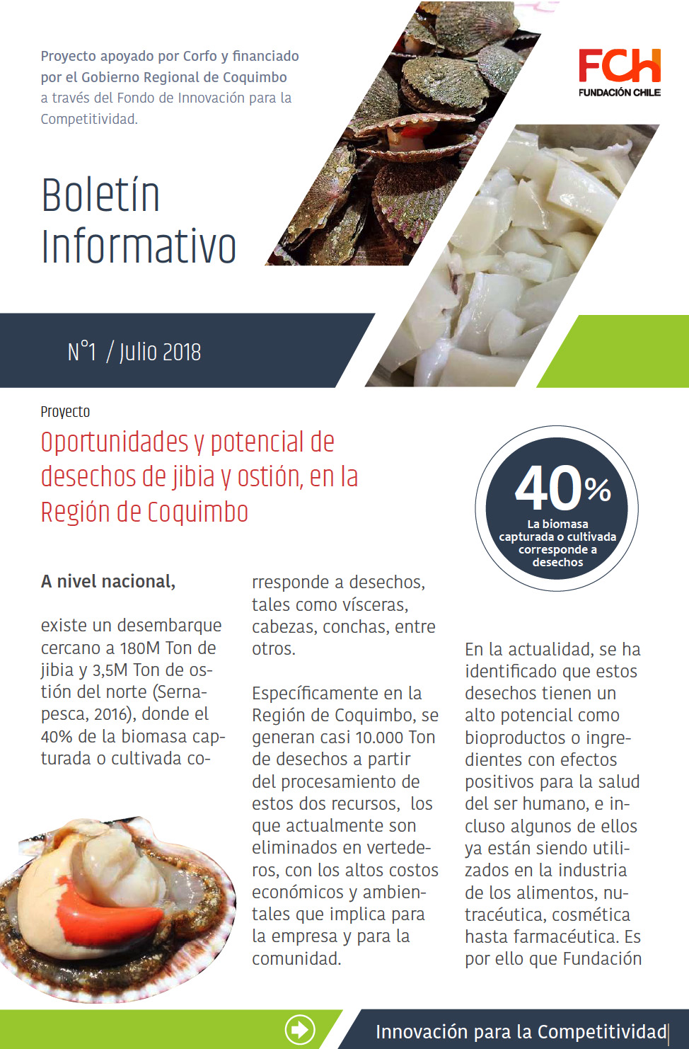 Boletín Nº1 – Oportunidades y potencial de desechos de jibia y ostión, en la Región de Coquimbo