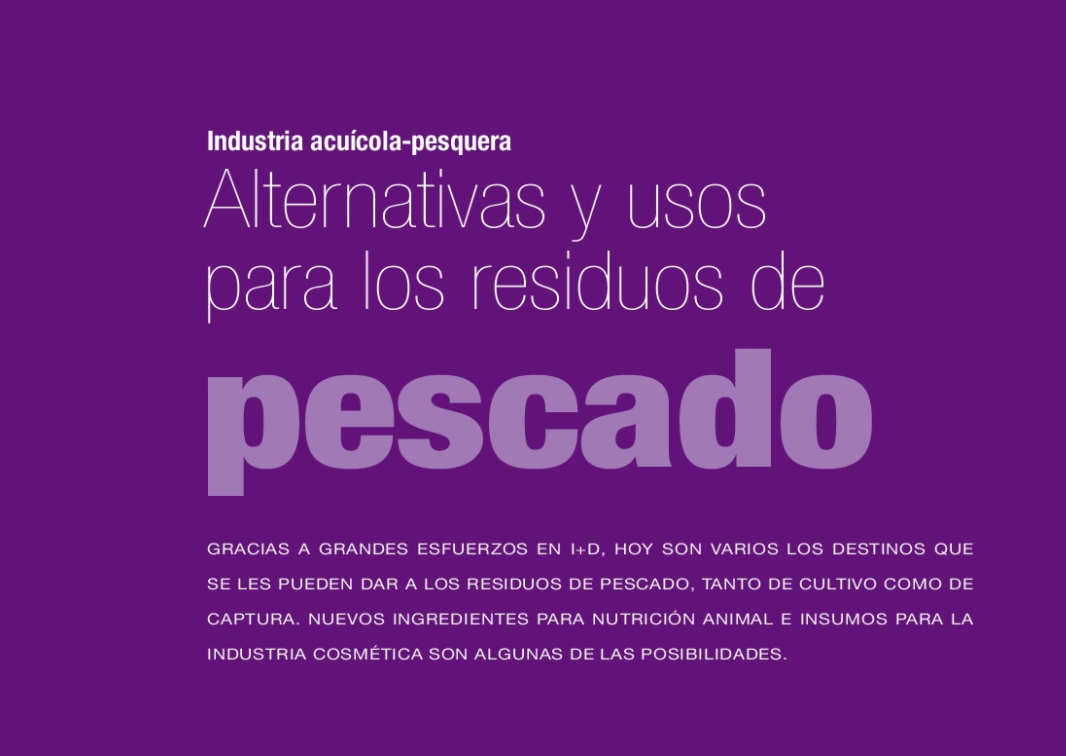 Alternativas y usos para los residuos de pescado