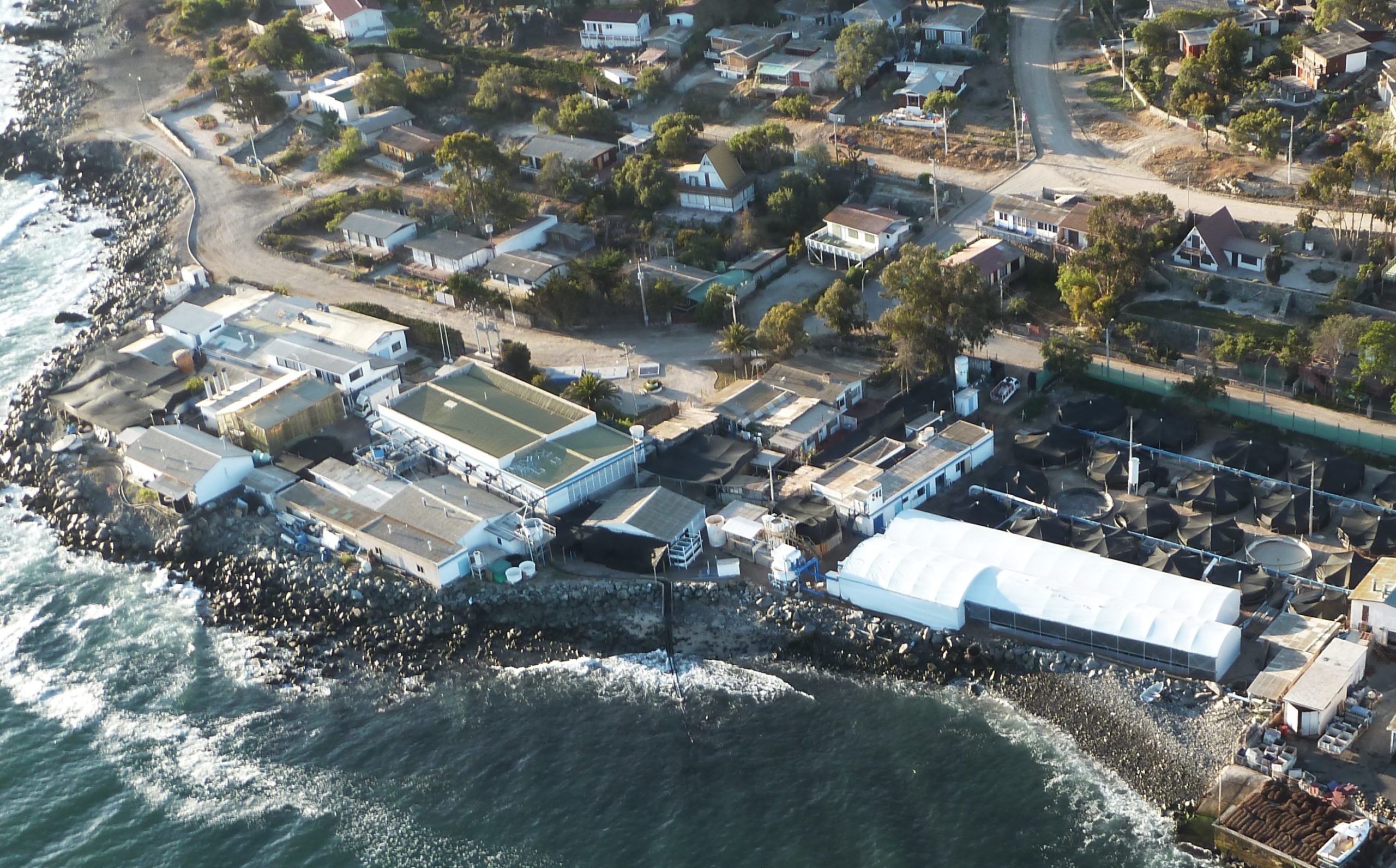 Chile tendrá primer Centro de Innovación y Desarrollo para Acuicultura en el Norte