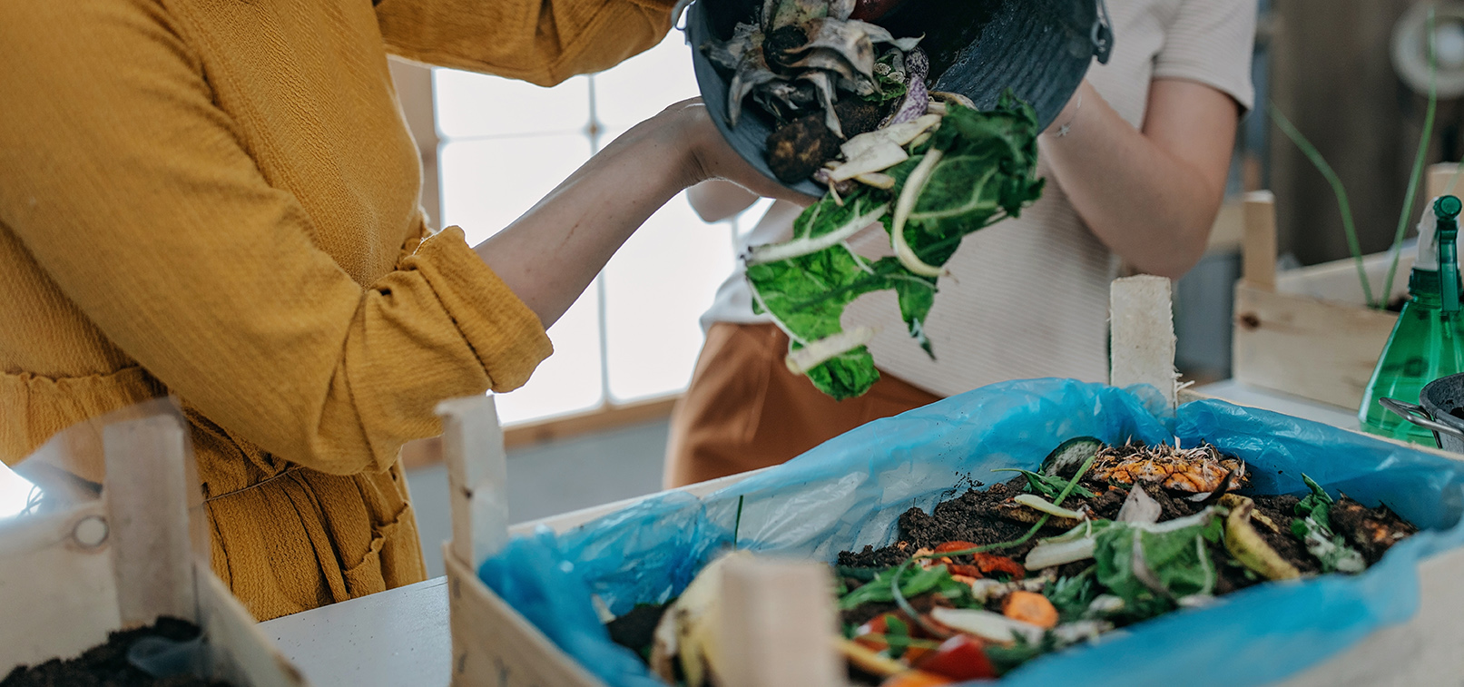 Capacitación online enseña a reciclar los residuos orgánicos