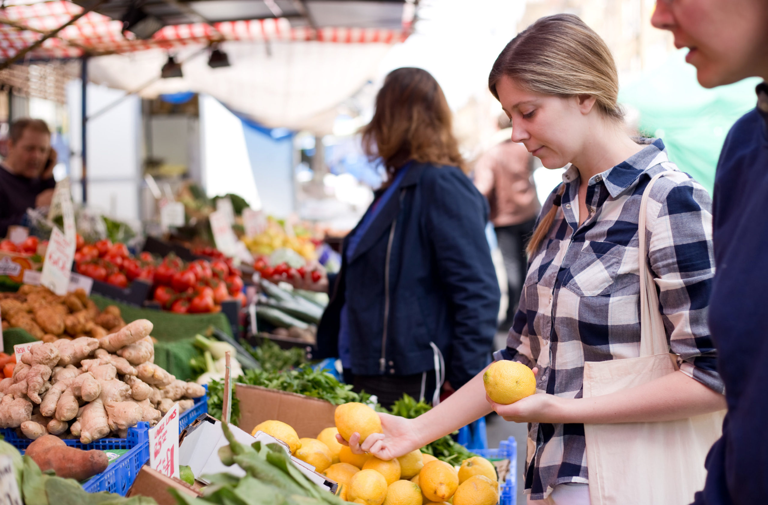 ¿Cómo ser un consumidor sustentable?