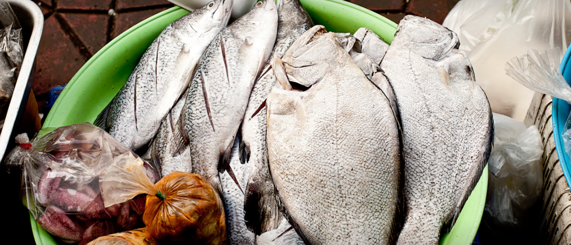 Oportunidades y desafíos de innovación para aumentar el consumo de productos del mar