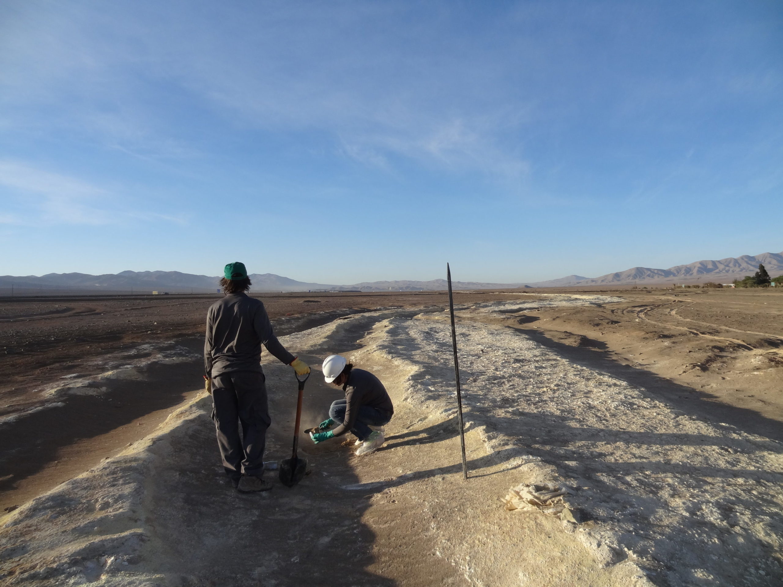 En el día de la conservación del suelo FCh propone un trabajo colaborativo