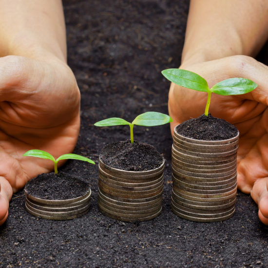 Economía Circular: Una oportunidad inédita para la Industria Forestal