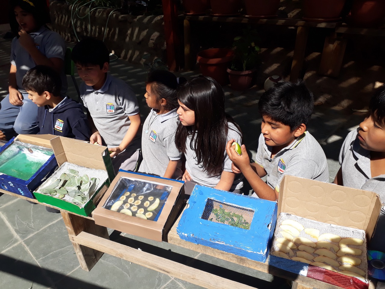 Ayllu Solar: El sol «energiza» a comunidades educativas