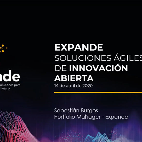 Expándete Desafíos 2020