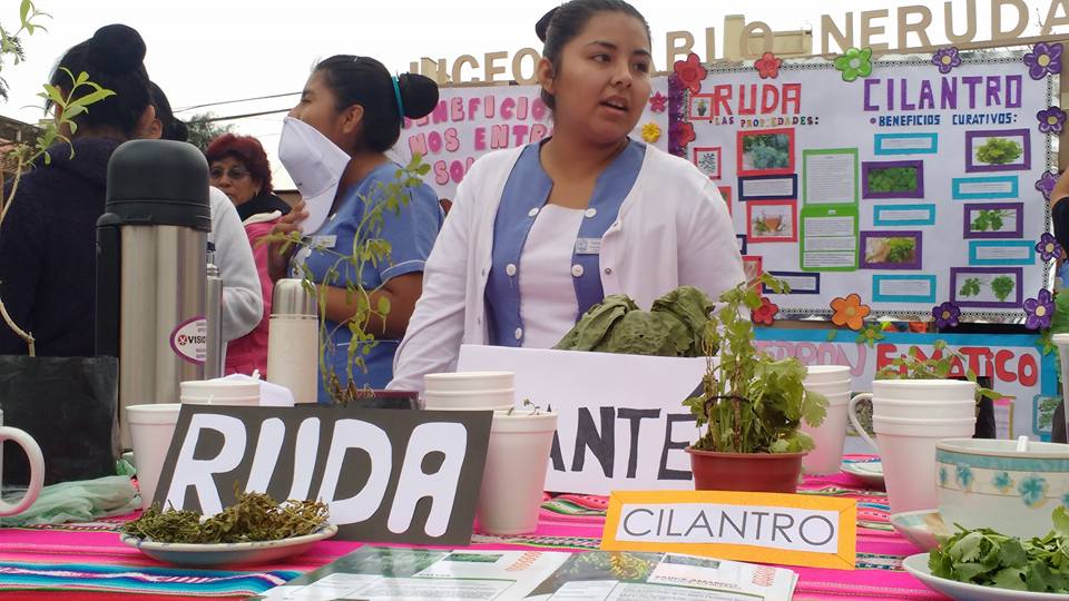 Más de 40 proyectos escolares se presentaron en la primera Feria de Escuelas Solares Ayllu