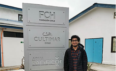 Centro Acuícola Tongoy de Fundación Chile asesora a Seacorp para la diversificación acuícola en Perú