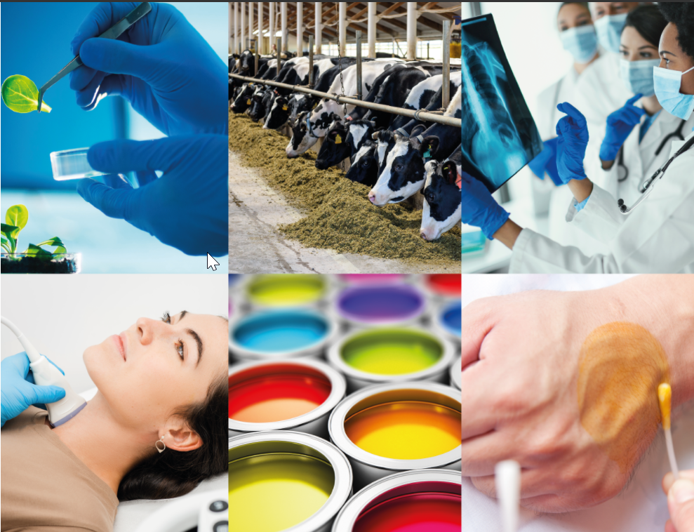 SQM launches international call to promote the development of solutions around the use and applications of iodine