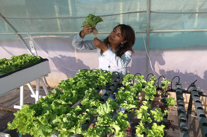 Estudiantes del liceo de Pica y agricultores de la zona conocieron técnicas de cultivo hidropónico