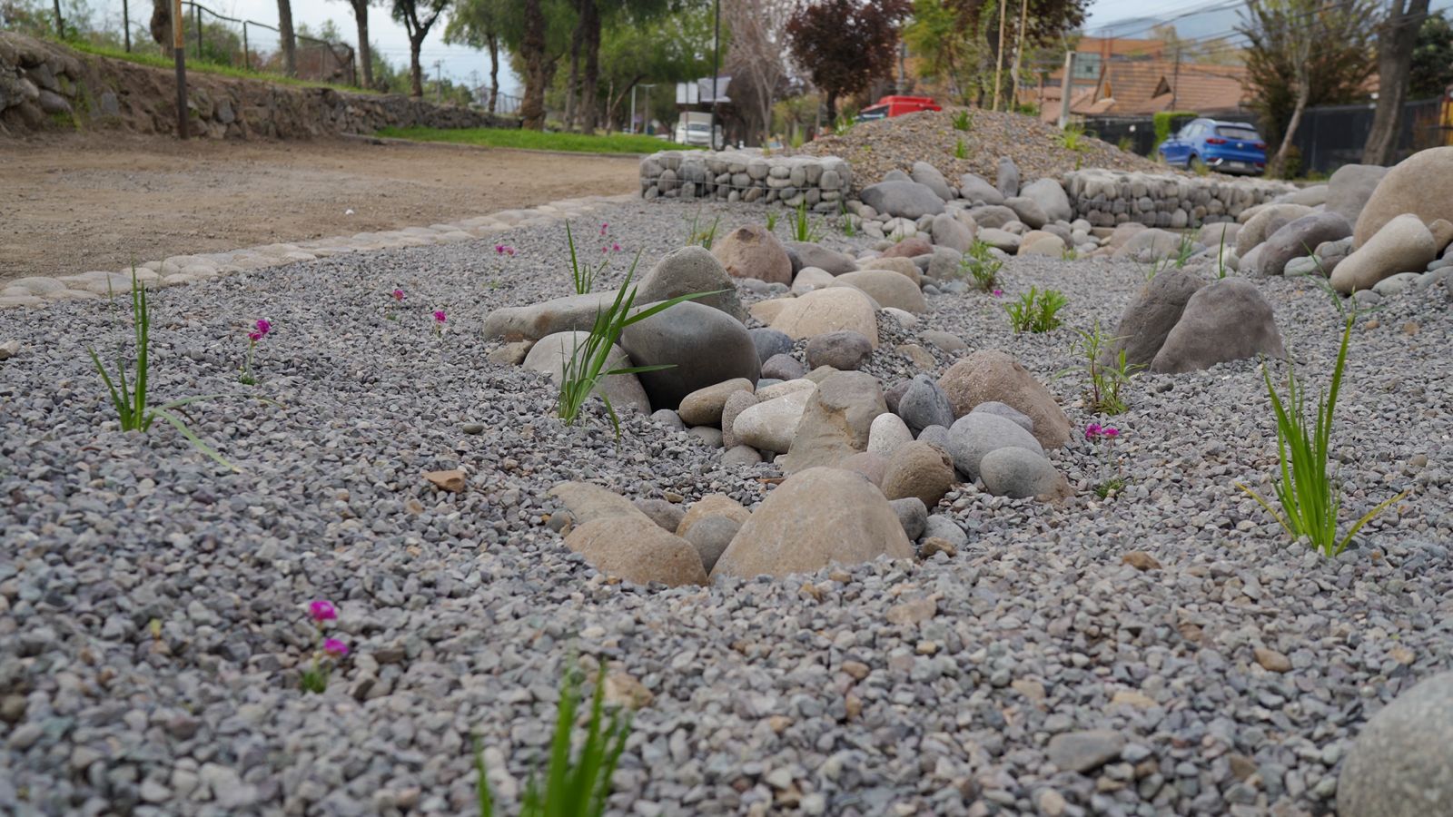 Gobierno de Santiago inauguró pionero “jardín de lluvia”, área verde que contribuye a mitigar inundaciones