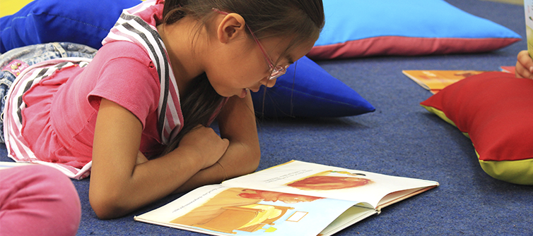 Educarchile entrega consejos para promover la lectura en verano