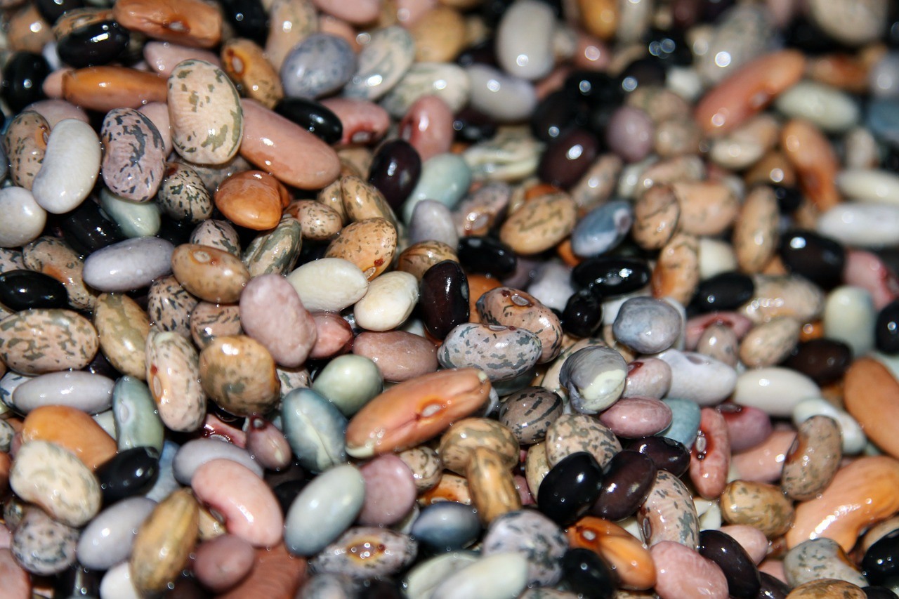 Beneficios nutricionales de las legumbres