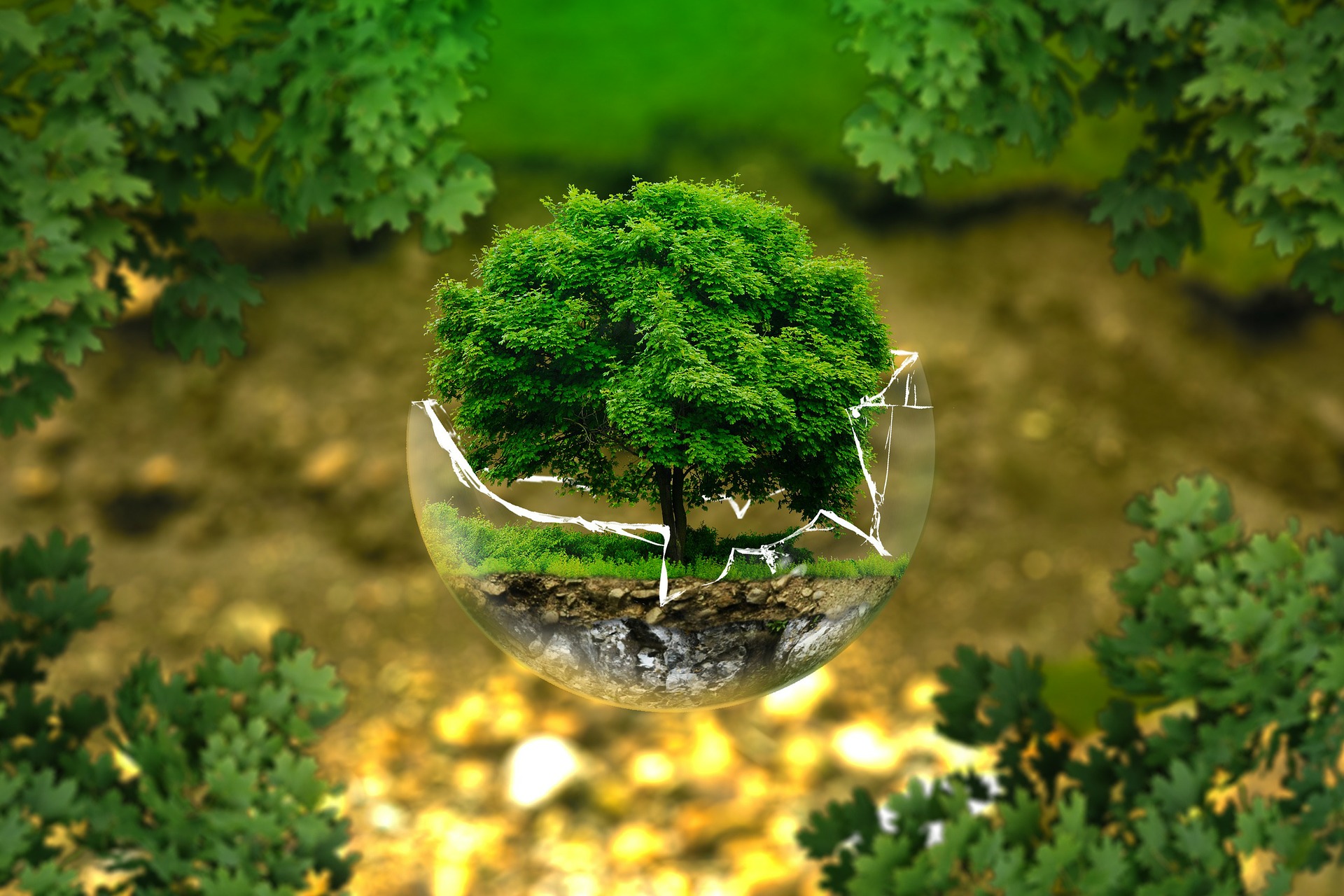 ¿Por qué velar por el medio ambiente puede ser lucrativo?
