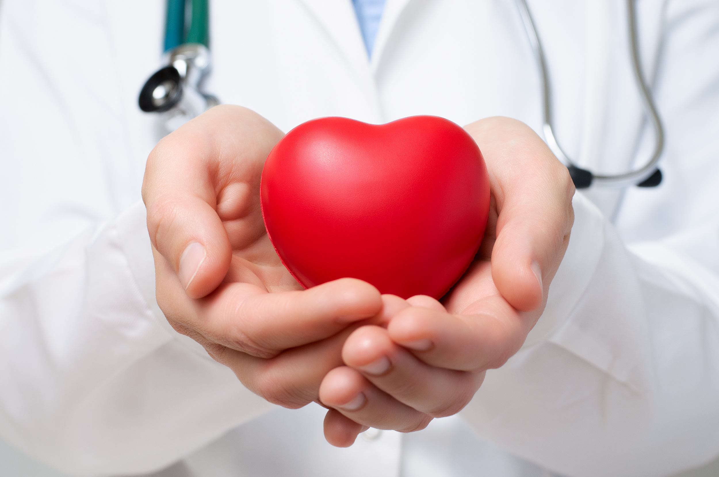 Alimentos que previenen los problemas al corazón