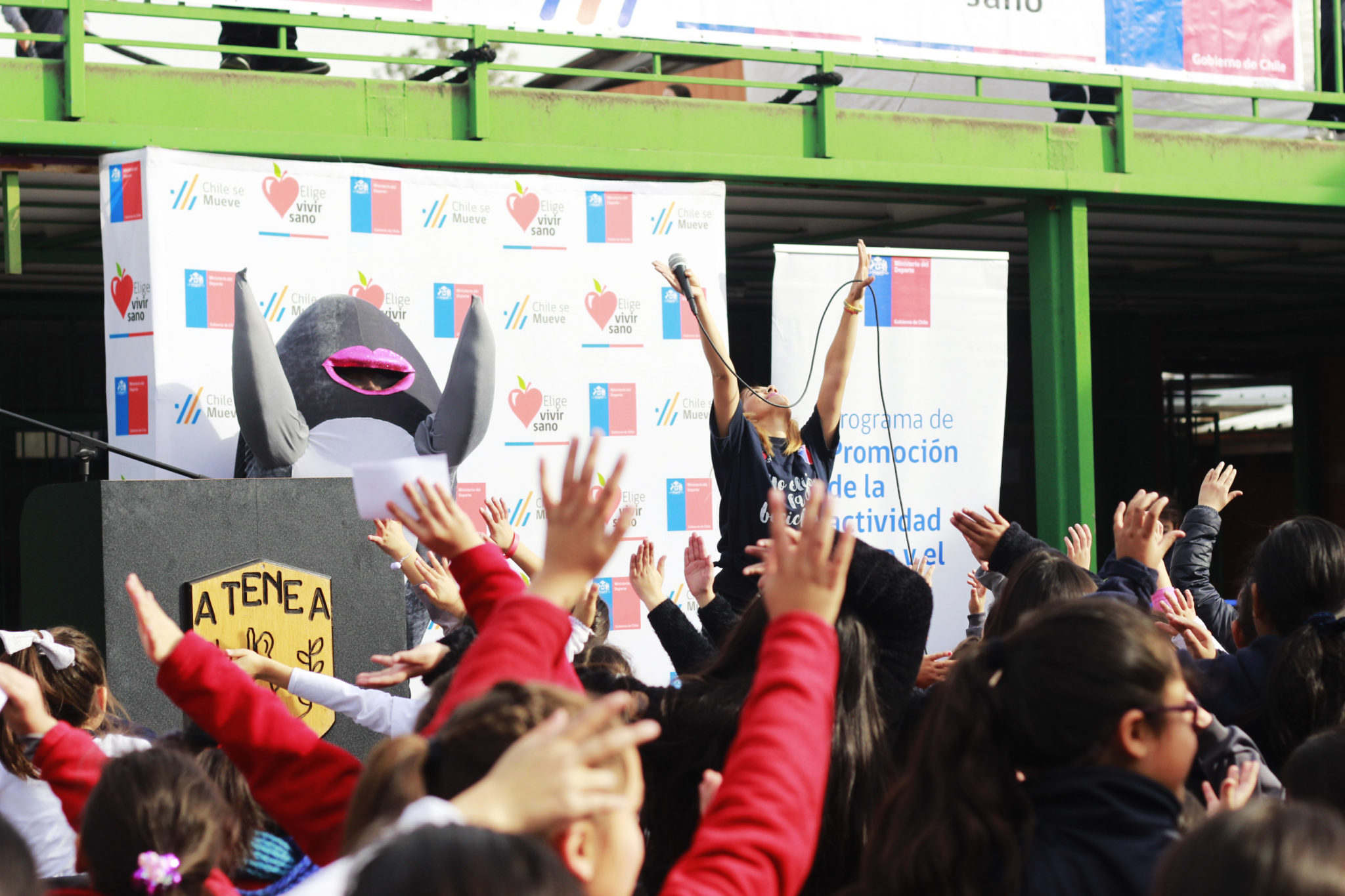 Subpesca participa de ferias de promoción de la actividad física del Mindep