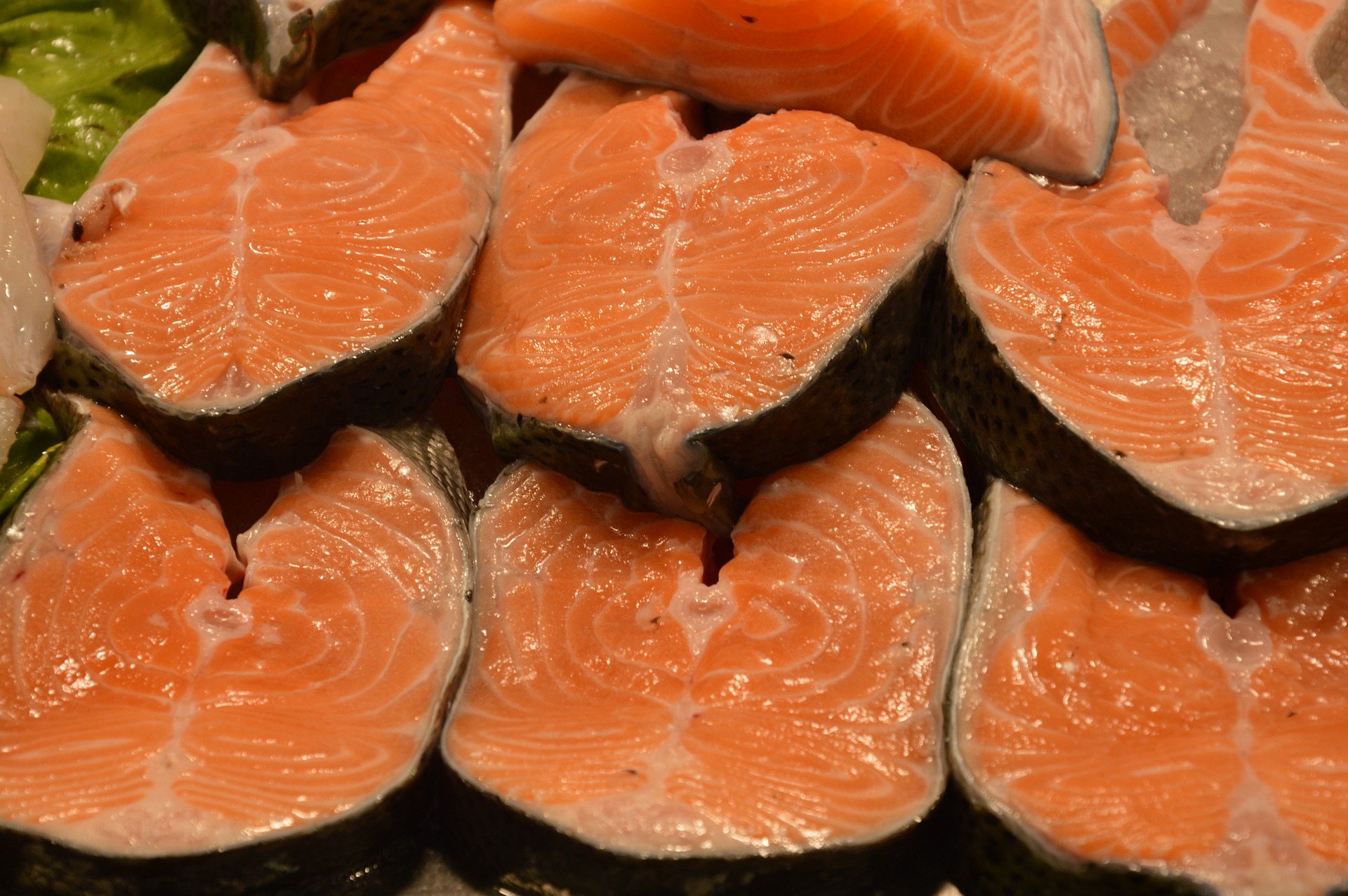 Aporte del Omega 3 en etapas claves de la vida
