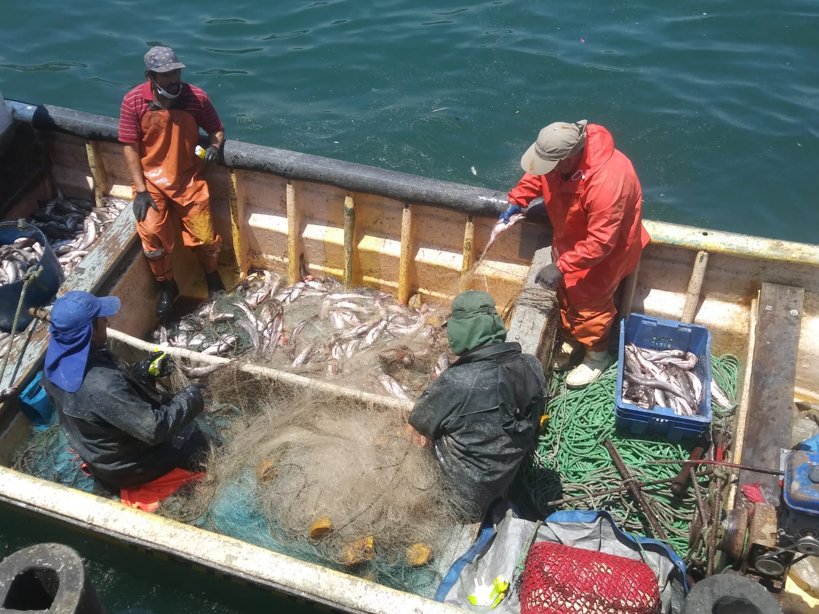 Pérdida y desperdicios de alimentos en caletas de pescadores en Chile
