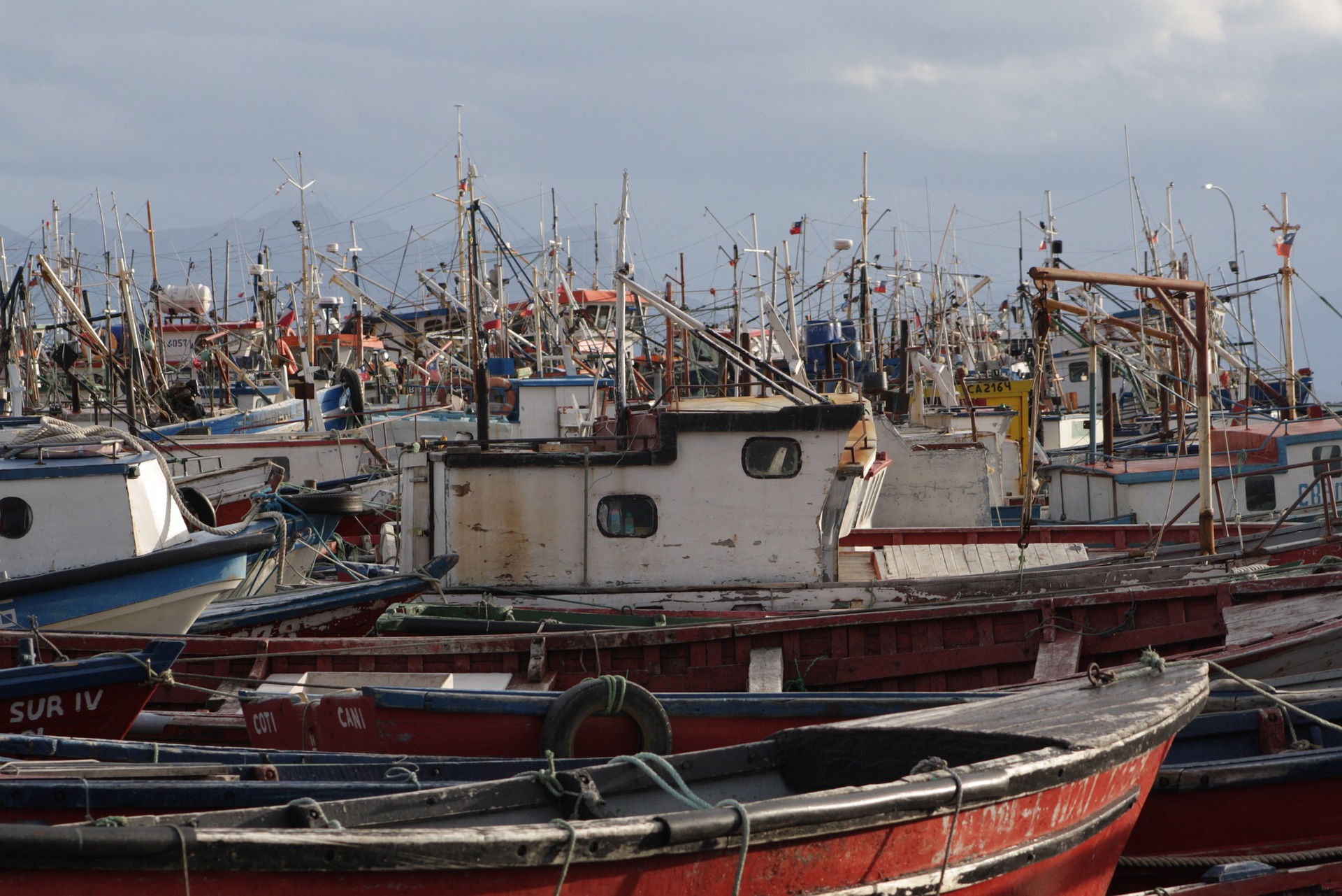 Lanzamos programa para impulsar la pesca artesanal sustentable