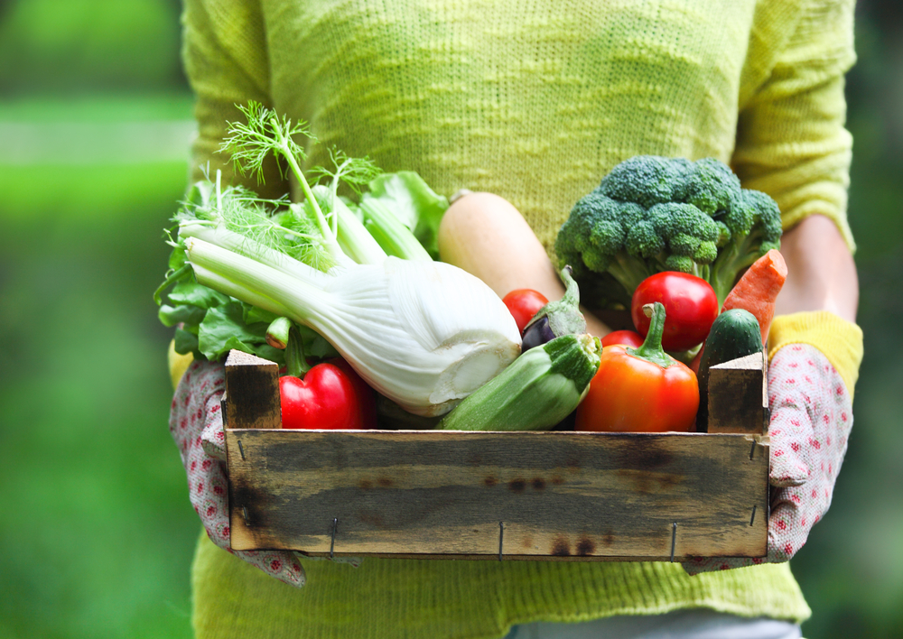 Las tendencias que marcarán la industria de los alimentos en los próximos años