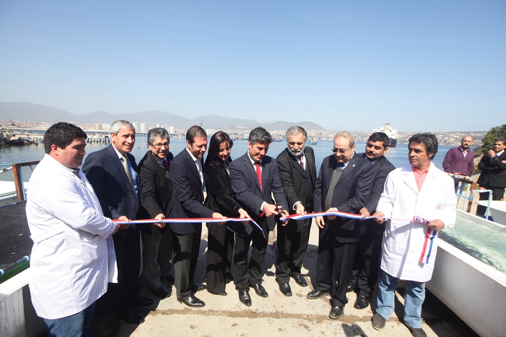 AquaPacífico: Inauguran primer centro de innovación y desarrollo para la acuicultura en el norte