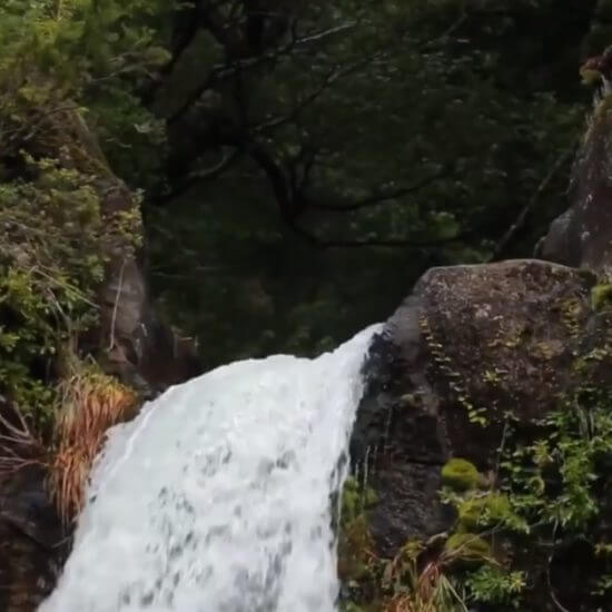 Unidos por el Agua