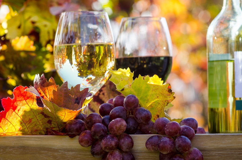 Vino blanco presenta mayor impacto ambiental que el vino tinto