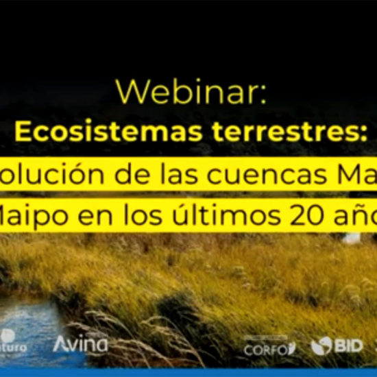 Webinar Ecosistemas terrestres: la evolución de las cuencas Maule y M…