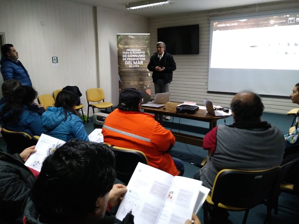 Más de 25 pescadores de la Región de Los Lagos se capacitaron en modelos de negocios