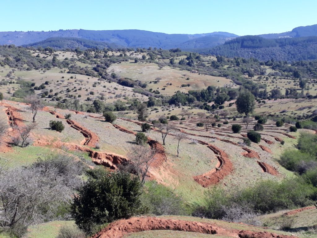 Soluciones basadas en la Naturaleza, ¿por qué son necesarias?