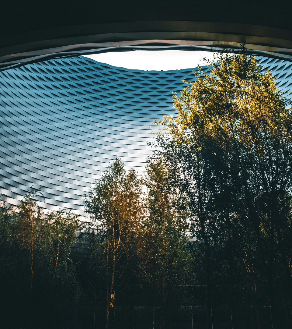 ConvergEN+: Energía y Naturaleza Positiva