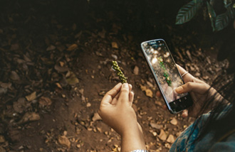 <br>del PIB nacional depende directamente de la naturaleza. La biodiversidad y los ecosistemas son un activo económico clave para el crecimiento y la competitividad del país. 